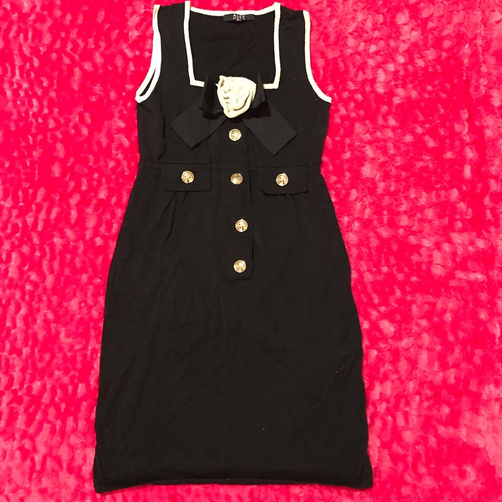 Alex Marie Black and Beige Knit Dress